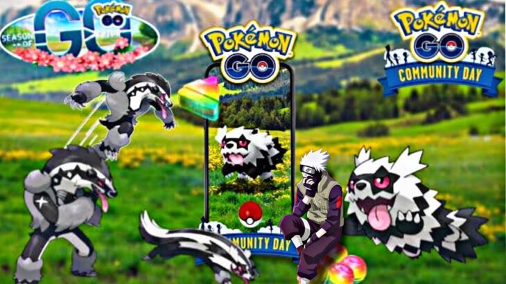 🚨LLEGA COMMUNITY DAY ZIGZAGOON GALAR🚨Todos los horarios mucho polvo estelar PGSharp Pokémon GO