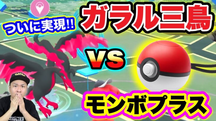 【50%!?】対決！ガラル三鳥vsモンボプラス！イベルタル色違いも獲得！？【ポケモンGO】