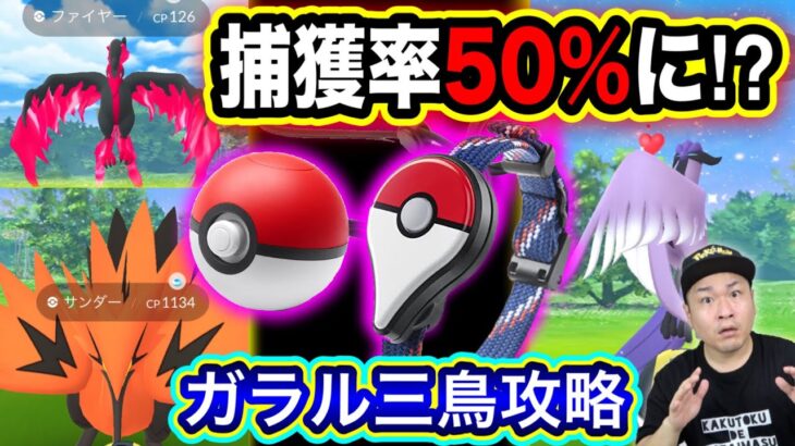 ガラル三鳥の捕獲率が5倍になる方法！？おさんぽおこう攻略！【ポケモンGO】