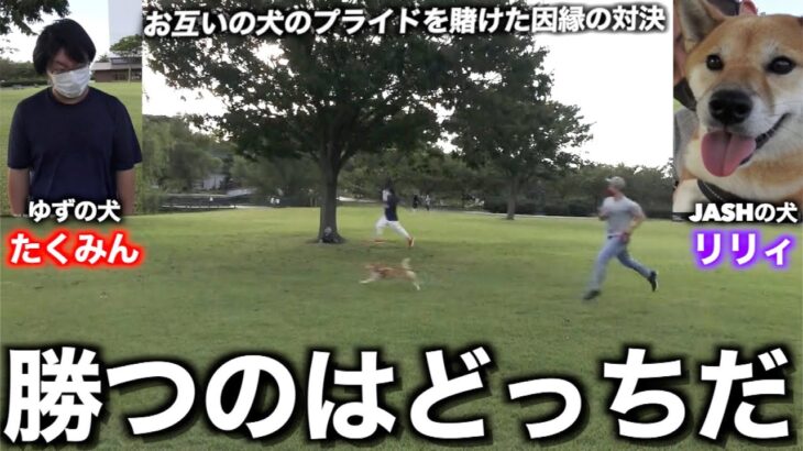 【ドッグランレース】JASH VSゆずみん！どっちの犬が優秀なのか熾烈な戦いが今始まる！！