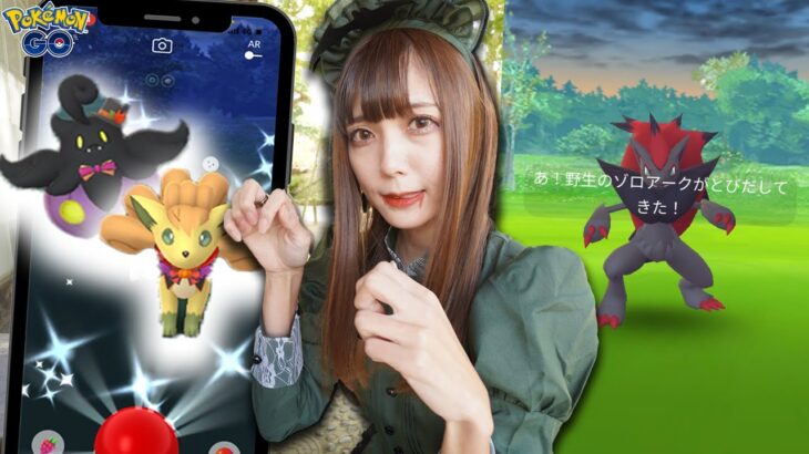 残り1日！ハロウィンイベントで色違いの限定ポケモン狙いたい！ゾロアもね！【ポケモンGO】