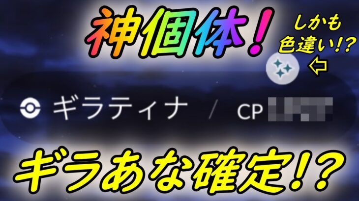 【ポケモンGO】神個体ギラアナ確定!?○○されたらとんでもないギラティナゲット出来ちゃいました…【ハロウィンイベント】