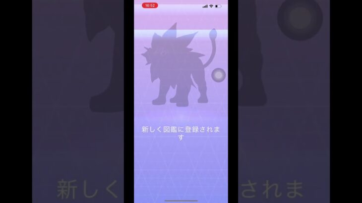 【ポケモンGO】コスモウムに進化ボタンキターｯ🥳✨究極の2択‼︎どちらに進化させる？#ポケモンgo #shorts