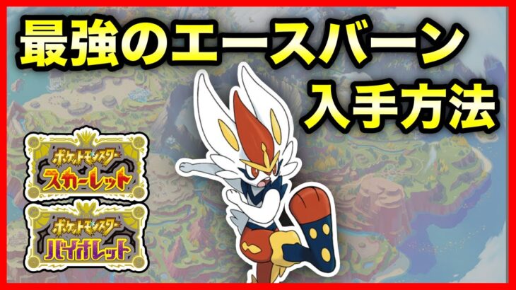 【ポケモンSV】期間限定！最強のエースバーン入手方法！イベントテラレイド開催決定！【ポケモン スカーレット バイオレット】