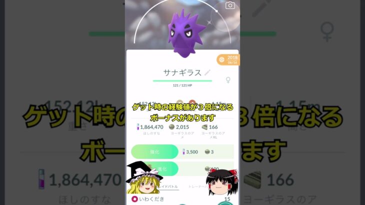 【ポケモンGO】今日1/21はヨーギラスのコミュニティ・デイの復刻‼#shorts