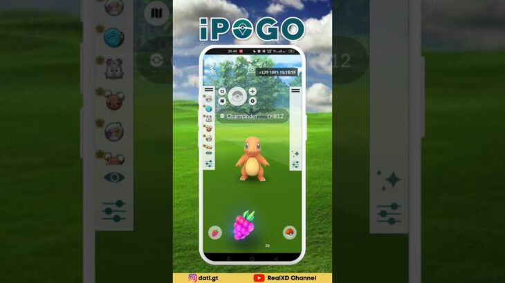 Hundo Charmander || IPOGO