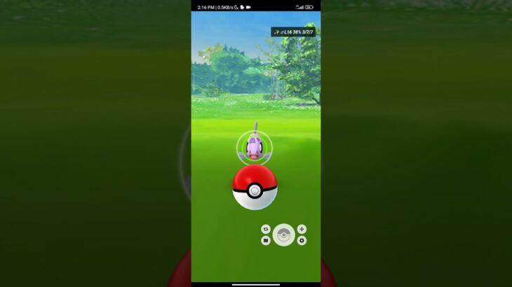 Shiny Feebas Pokémon go ipogo