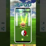 Shiny Zigzagoon || IPOGO #pokemongo #ipogo #pokemongofakegps2023 #pokemonhundo #pokemonshiny