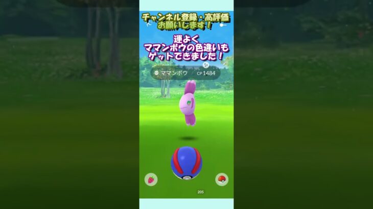 ラブカスの限定リサーチイベント！ママンボウの色違いもゲット！？【ポケモンGO】【2023/2/11[土]】 #Shorts