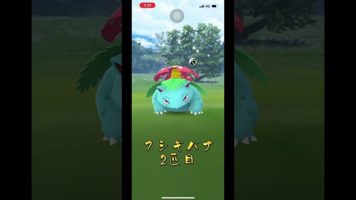 【ポケモンGO】今回のおさんぽおこうは珍しいのが出た