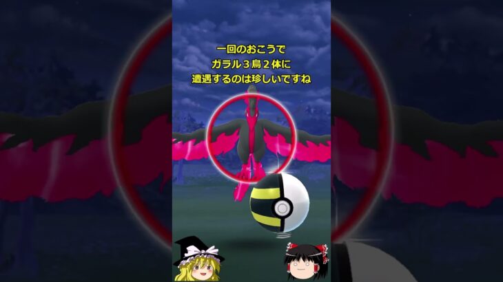 【ポケモンGO】同じ日にガラル３鳥２体に遭遇⁉️（ガラル三鳥 チャレンジ 27,28回目）#shorts