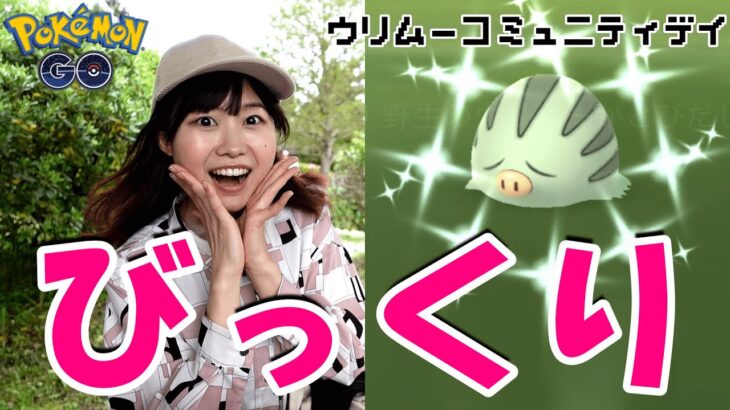 １体目の奇跡！ウリムーコミュニティデイin愛知県:ポケモンgo