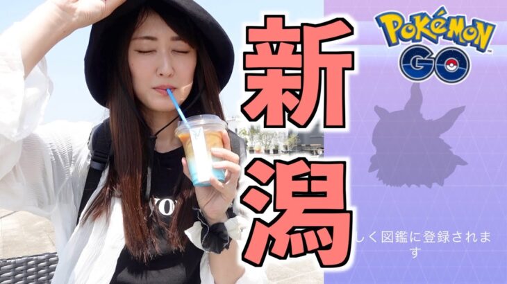 新潟で絶品・絶景とタマゴ割り!!【ポケモンGO】