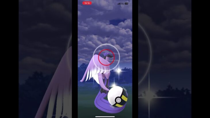 ガラル三鳥　ポケモンgo ガラルフリーザー　マスターボールを持ってるぞ　無事ゲット　残りはガラルファイヤーでコンプ#pokemon  #Galar Three Birds