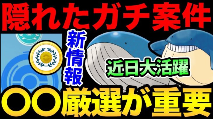 今が厳選のチャンス！誰も教えてくれない重要事項！これから大活躍が期待されるホエルオーを見逃すな！【 ポケモンGO 】【 GOバトルリーグ 】【 GBL 】