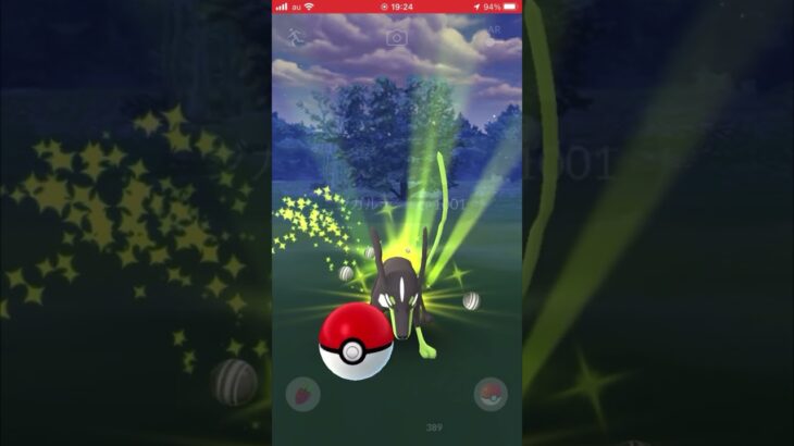 【ジガルデ実装】セル集め頑張る【91%】 #ポケモンgo