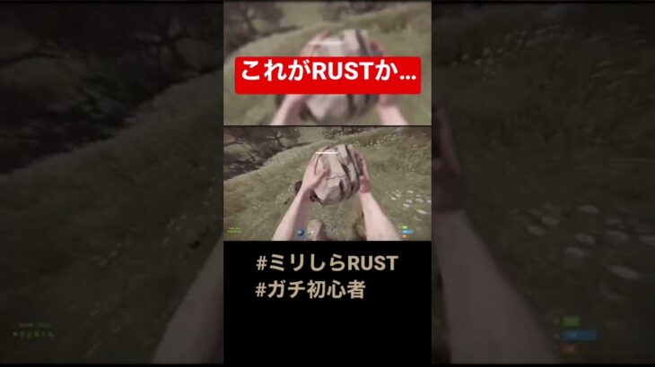 【RUST】ストリーマーRUSTに憧れた初心者に待ち受ける現実のRUST(PvP).mp4