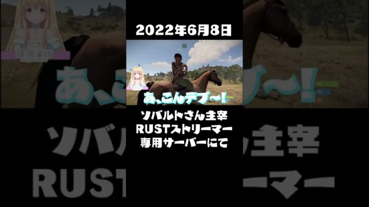 【RUST】ありけんさんと気づかずにデブを連呼する輝海まりな【ストリーマーサーバー】#shorts