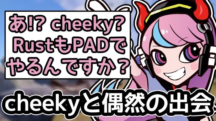 【Selly/切り抜き】 cheekyさんにあの質問をするSelly︱RUSTストリーマーサーバー