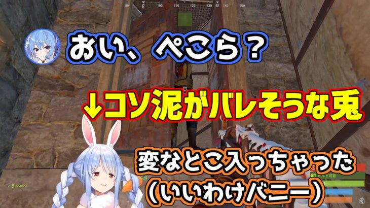 【#ホロ鯖RUST】コソ泥がバレそうになるも手際よく無罪を勝ち取るぺこーら【#ホロライブ切り抜き/#兎田ぺこら/#星街すいせい】