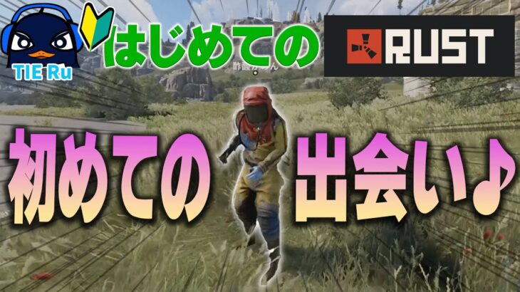 【ストラス】TIE Ru、はじめてのRUST ～初めての出会い編～ 【切り抜き】