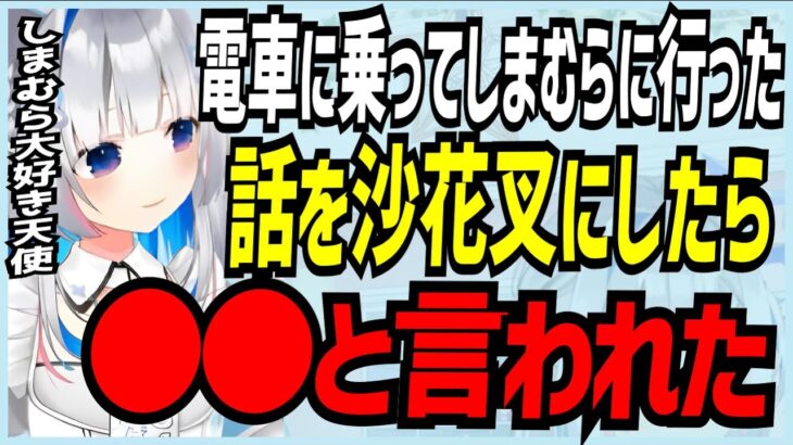 【天音かなた】電車に乗ってしまむらに服を買いに行った話を沙花叉クロヱにしたら●●と言われた天音かなた【ホロライブ かなたそ かなたん VTUBER】