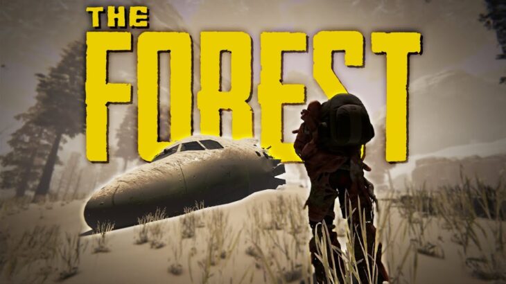 極寒の雪山で墜落した飛行機から新たな武器を発見！「The Forest」実況プレイ #12