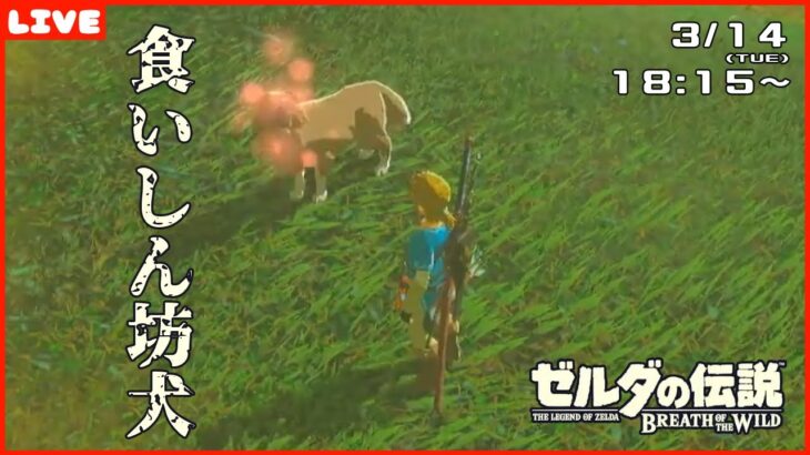 ゼルダの伝説 Breath of the wild #7