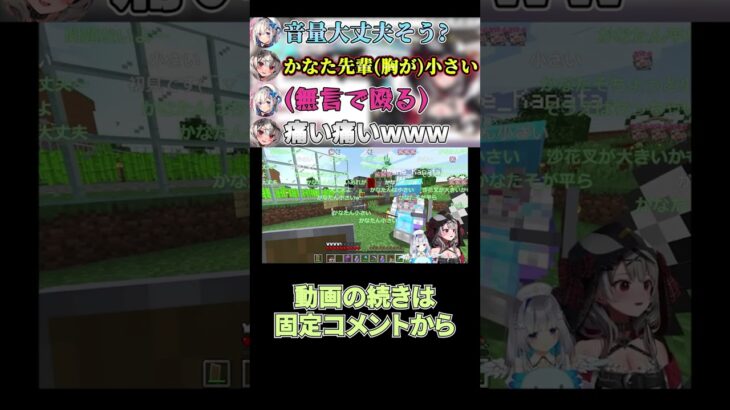 【沙花叉クロヱ/天音かなた】かなた先輩におっぺえいじりをサラッとしたところ無言のまま殴られるさかまた【切り抜き/ホロライブ/hololive/holoX】#shorts