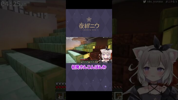 イルカはいるか？【Minecraft】【夜絆ニウ / NeoPorte (ネオポルテ) 】 #shorts #vtuber  #minecraft #マイクラ #マインクラフト   #切り抜き