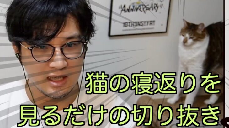 【深夜雑談】飼い主の配信が終わるまでゴロゴロしてる早助ちゃん【三人称/切り抜き/鉄塔/猫】