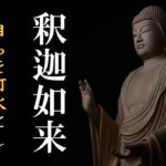 【釈迦如来真言】真言聞き流し～悟りへ導く御真言「仏教の開祖お釈迦様の教えにより不安や苦しみからの解放を目指す」（釋迦牟尼佛心咒)