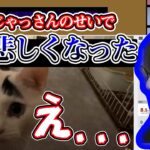 【雑談】釈迦さんの猫を見るじゃすぱー　ペットの話など　じゃすぱー切り抜き