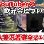 【ボドカ/切り抜き】人気YouTuberの飲み会問題について語るゲーム実況者ボドカ