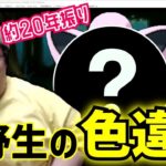 [20年ぶり]  野生の色違いに遭遇する恭一郎 (2021/12/06)