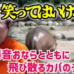 【笑ったらサブスク】「爆音おならとともに飛び散るカバのうんこ」を見る恭一郎　(2021/11/29)