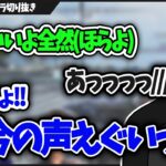 【悲報】ボドカさん、初バチャンディでひいてしまう【バーチャルゴリラ切り抜き】