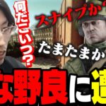 「釈迦キーン」と叫ぶ野良に遭遇する【Escape from Tarkov】