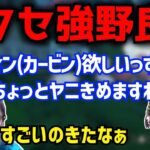 クセが強すぎる野良に出会う恭一郎 (2022/03/20)