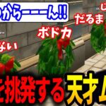 【ボドカ/切り抜き】隠れる気なし!!釈迦を挑発するふざけたムーブでまさかの完全勝利するボドカたちｗｗｗ