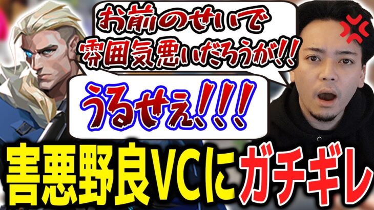 雰囲気を悪くする害悪野良VCにブチギレるボドカ【ボドカ／切り抜き】