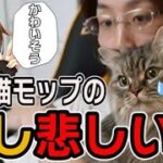 飼い猫のモップに関する少し悲しい話をする釈迦【釈迦切り抜き】