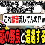 「ナイスでぇ～す」しか言わない野良と遭遇するボドカｗｗｗ【ボドカ／切り抜き】