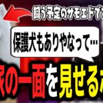 犬を飼うにあたって「保護犬も考えた」愛犬家な一面を見せるボドカ【ボドカ／切り抜き】