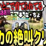 【スト鯖ARK】ボドカ達が「な・ちょ」を育てていることを知ったなちょ猫【Nachoneko/ARK/甘城なつき/切り抜き】