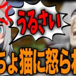 【じゃすなちょ】冬ナベの２次会マイクラでなちょ猫に怒られて笑ってしまうじゃす【じゃすぱー切り抜き】