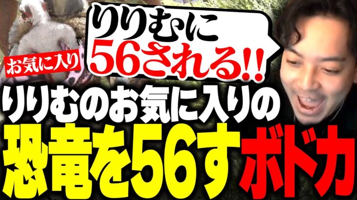 魔界ノりりむの大切な「のまちゃん」を56してしまうボドカwww【ボドカ/関優太/魔界ノりりむ/エクス・アルビオ/きなこ/ARK: Survival Evolved】