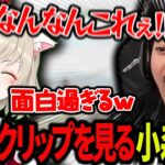 ご飯休憩中にブチギレボドカで爆笑する小森めと【小森めと/ブイアパ/ボドカ/ark/最強軍団】