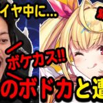 【APEX】ソロダイヤ中に野生のボドカさんに遭遇した結果ｗｗ【星川サラ/ボドカ/にじさんじ/切り抜き/APEX】