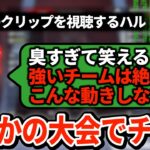 まさかの大会にチーターが出現！あからさますぎてハルもつい吹き出してしまう【APEX翻訳】